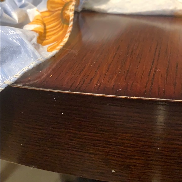 Meet your Posher, Elsie - Picture 1 of 1